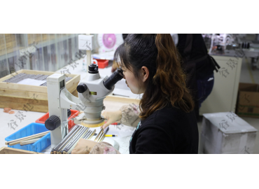 谷景電子關(guān)于鐵硅鋁磁環(huán)電感引腳晃動(dòng)引發(fā)電感量變小的案例分享